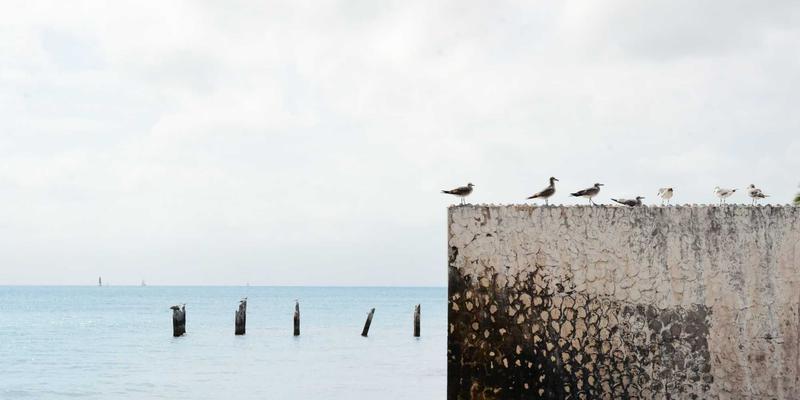 主机游戏革命：AI行为树与机器学习如何重塑NPC智能，提升开放世界沉浸感