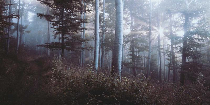 云游戏服务深度评测：延迟、画质与订阅制模式的未来展望