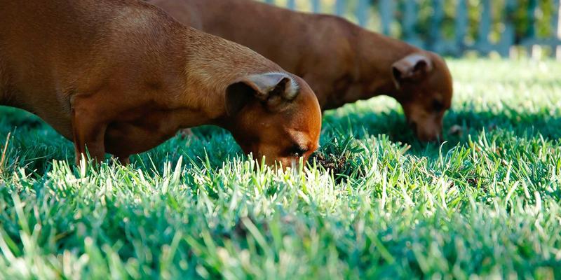 从刀锋游戏到玩家社区：游戏资讯进阶的完整攻略