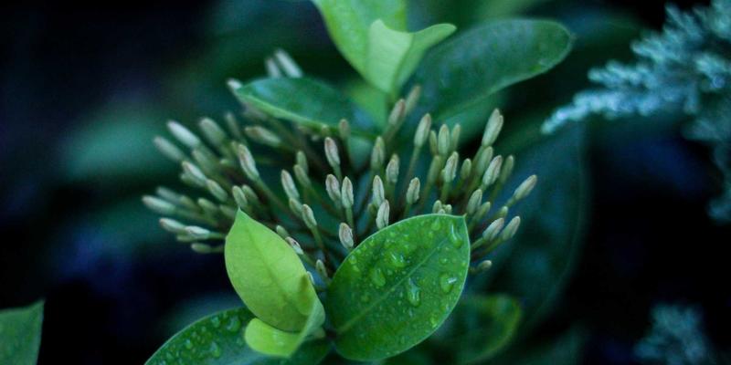 从纸媒到云推送：游戏资讯的演进如何重塑玩家体验