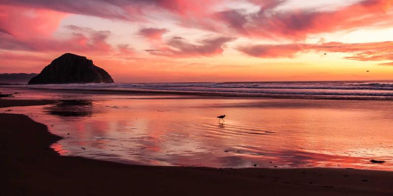 《刀锋游戏》PC版深度攻略：从入门到精通的全方位指南