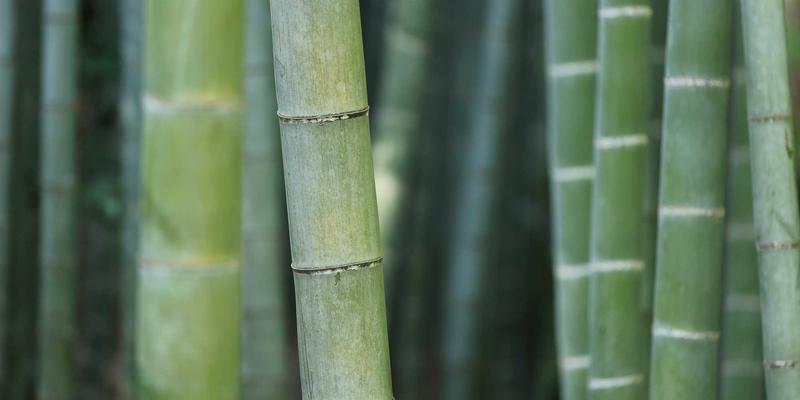 刀锋游戏深度解析：主机游戏资讯与行业趋势前瞻