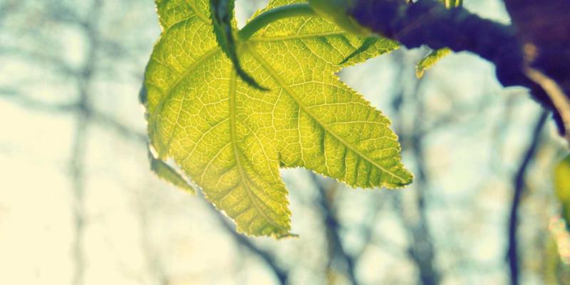 手机游戏与主机游戏：玩家社区如何重塑游戏生态