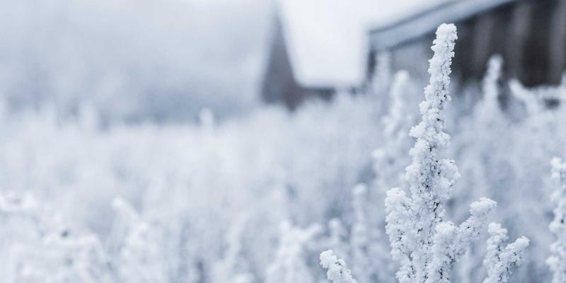掌握游戏资讯优势:从攻略解析到手机游戏生态,以刀锋游戏为例