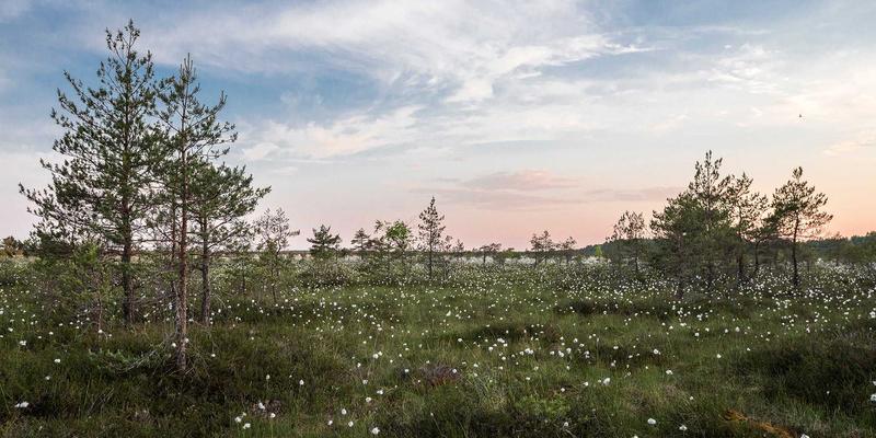 游戏攻略与评测新视角：主机游戏本地化中的文化适配挑战与最佳实践