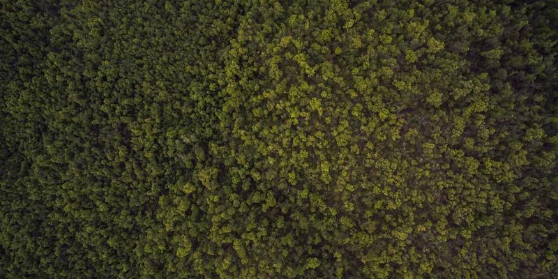 游戏行业投资与收购动态：微软、索尼、腾讯等巨头如何重塑PC游戏版图