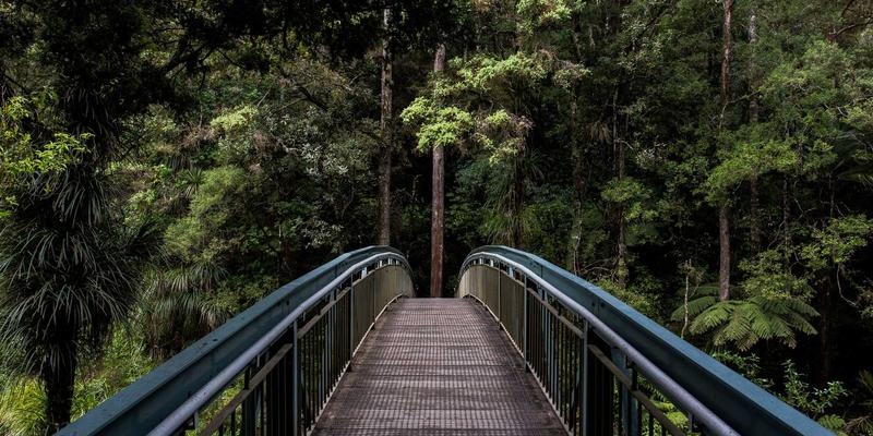 游戏订阅制冲击传统销售：玩家社区与攻略生态的变革与开发者收益解析