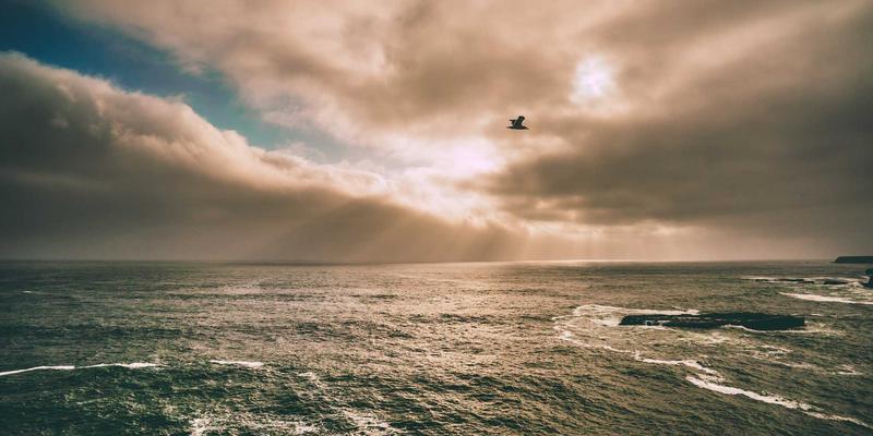 游戏资讯21：PC与手游双端动态全览，掌握最新游戏风向