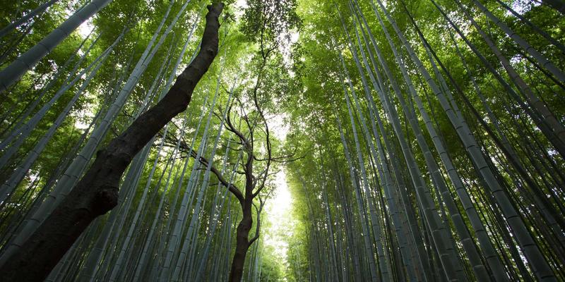 玩家社区如何重塑PC与手机游戏的未来生态