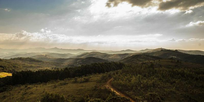 玩家社区如何重塑游戏生态：从主机到手机的体验革命